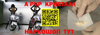 спиды Новодвинск