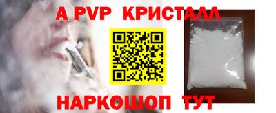 спиды Новодвинск
