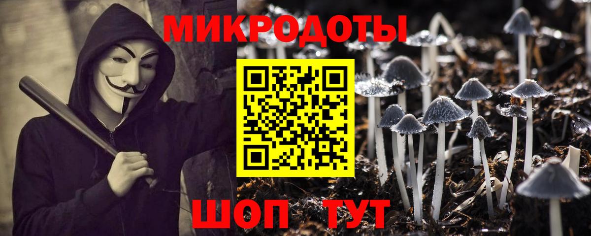 Псилоцибиновые грибы GOLDEN TEACHER  Вход с VPN  Славянск-на-Кубани  Псилоцибиновые грибы Psilocybine cubensis 